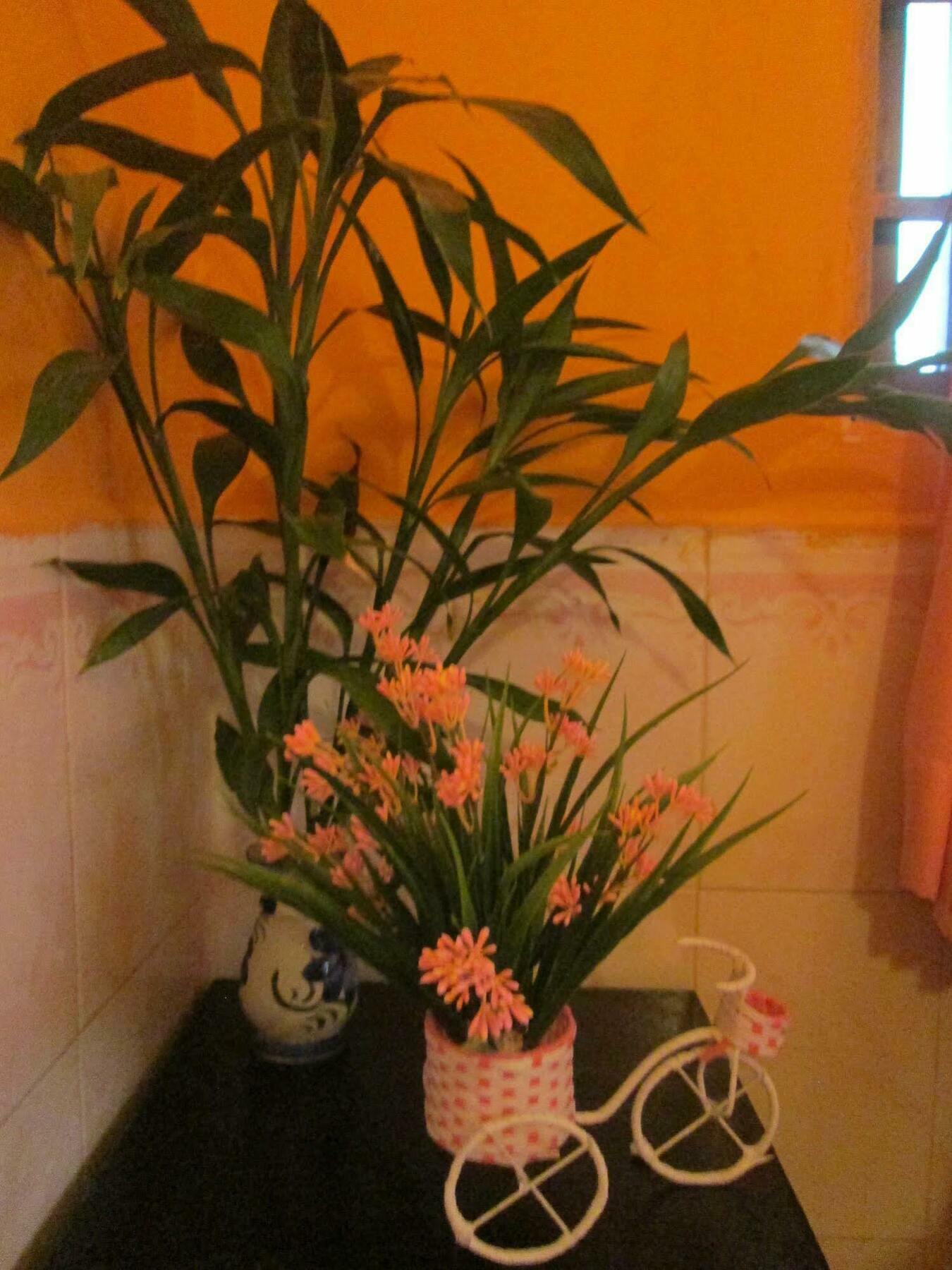 Eco-Home Siem Reap Homestay Exterior photo